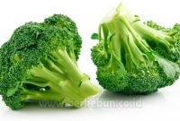 Jenis Sayuran dan Manfaatnya untuk Kesehatan (Bahas Lengkap) brokoli
