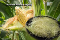 Manfaat Rambut Jagung